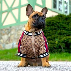 Gigi bomber coat for small dogs